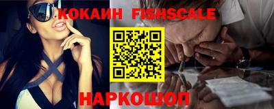 крисы Камышлов