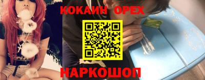 крисы Камышлов