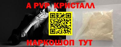 крисы Камышлов