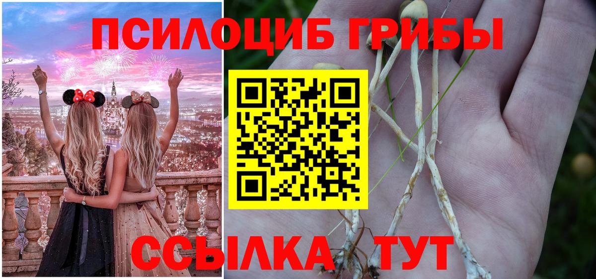 Галлюциногенные грибы Magic Shrooms  Вход с VPN  Лениногорск 